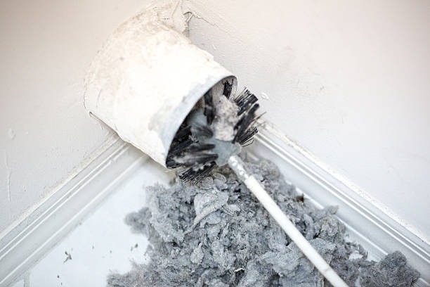 Best Dryer Vent Cleaning Services  in Woodbury Heights, NJ
